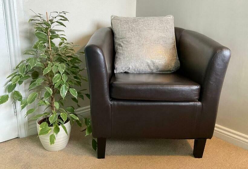 スタンダードルーム, The Great Grubb