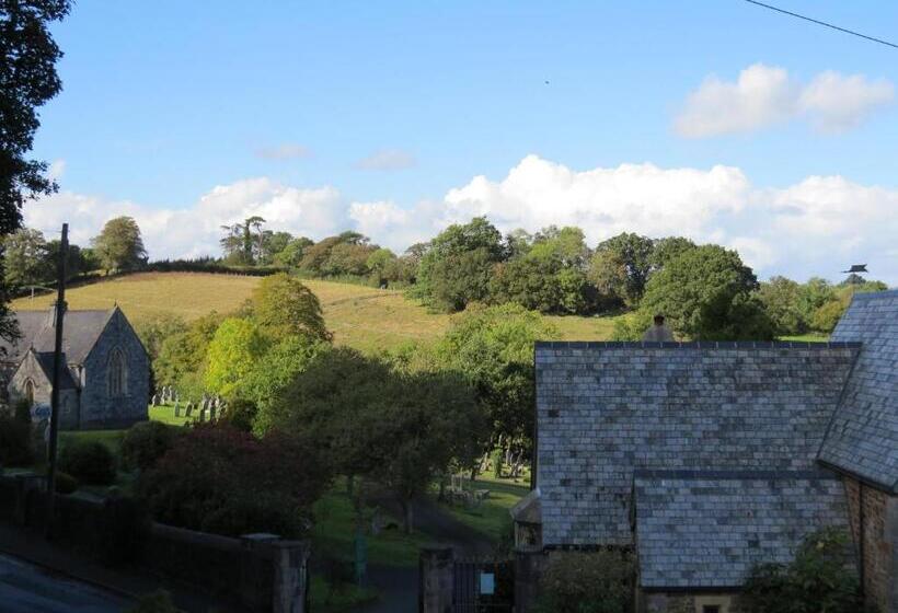 ベーシックルーム, The Great Grubb