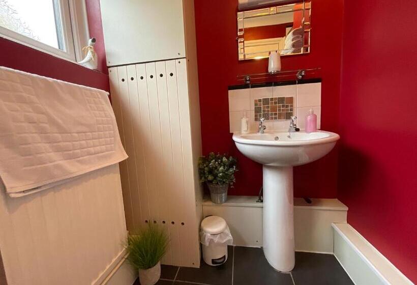 ベーシックルーム, The Great Grubb