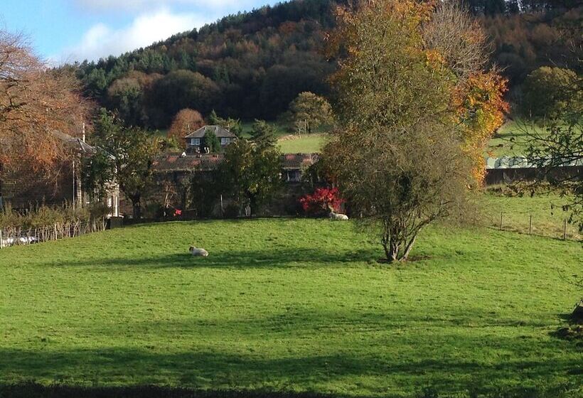 Номер Стандарт, The Old Station House