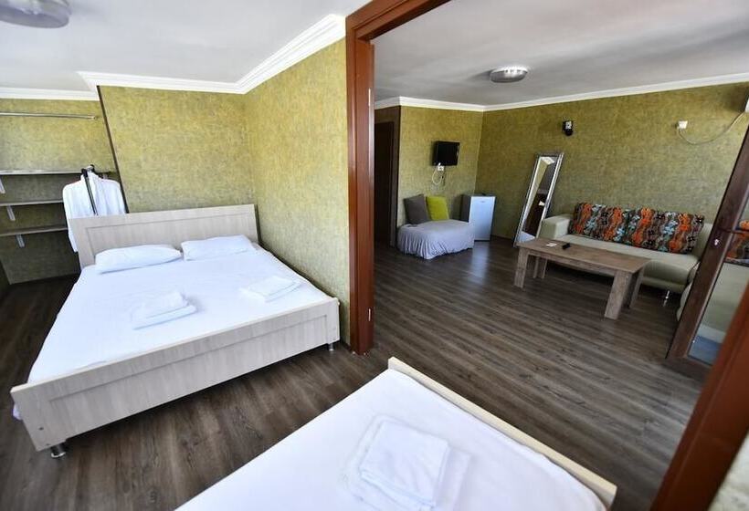 Suite with Terrace, Paliashvili