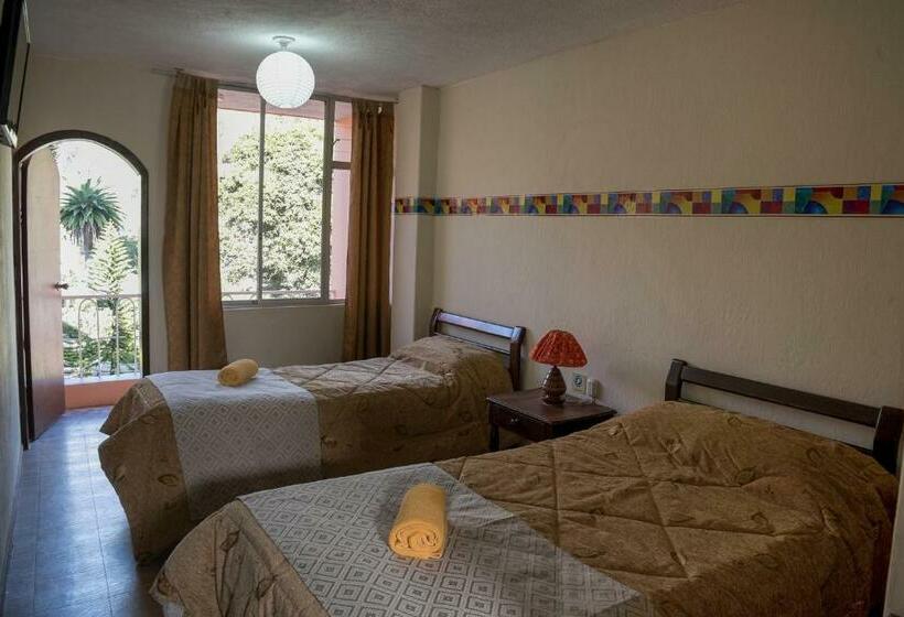 スタンダードルーム, Flor De Oriente