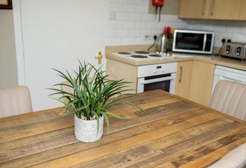 带3个卧室的公寓, Forbes Of Kingennie