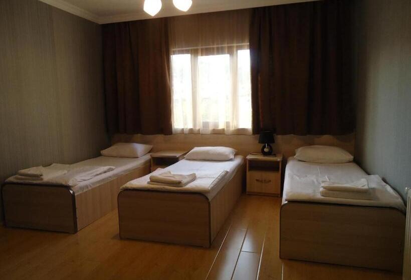 اتاق استاندارد سه نفره, Nikala