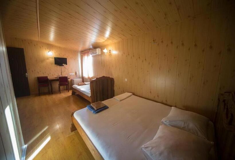 اتاق استاندارد سه نفره, Nikala