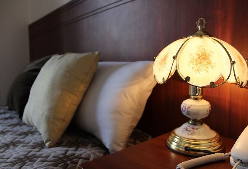 غرفة قياسية فردية, Rio