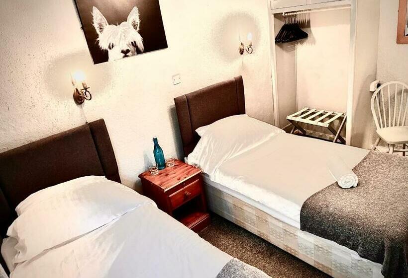 Номер Стандарт, The Lake View