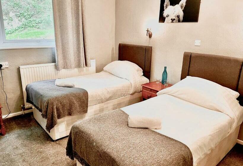 Номер Стандарт, The Lake View