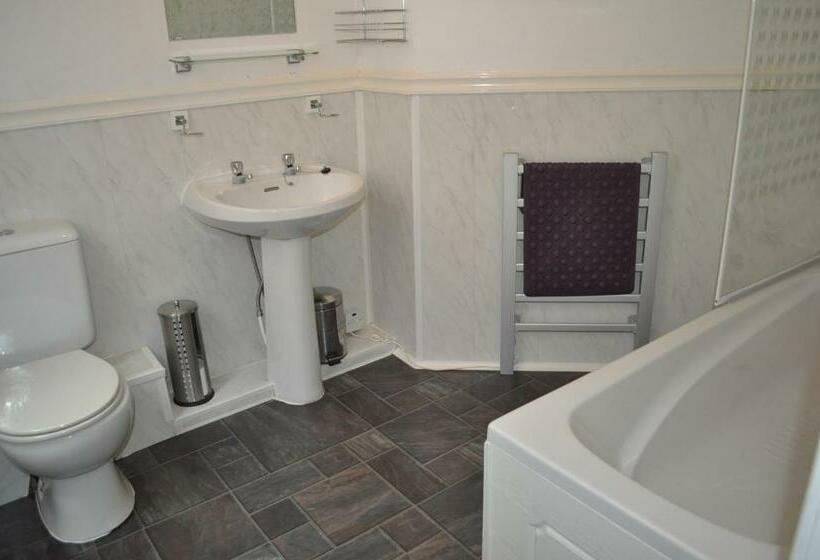 エコノミールーム, The New Guilderoy