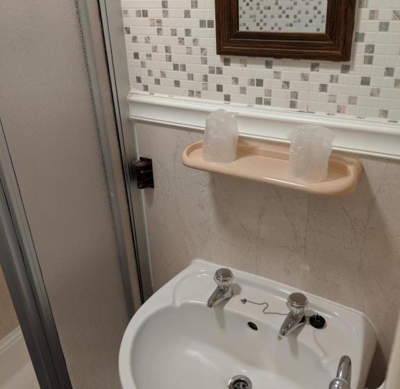 エコノミールーム, The New Guilderoy