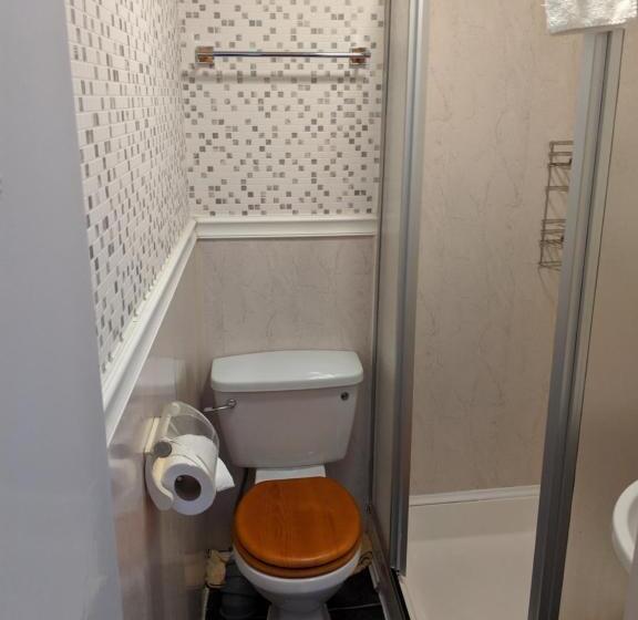 エコノミールーム, The New Guilderoy