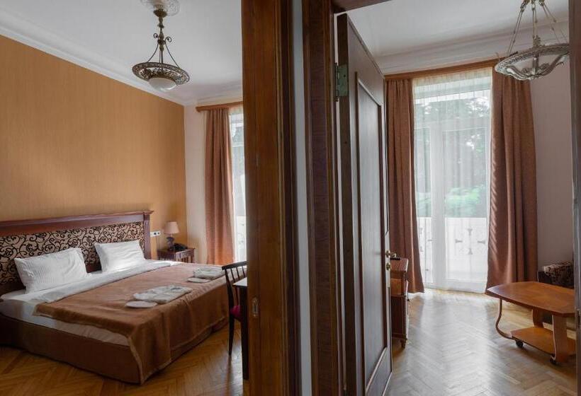 اتاق استاندارد یک نفره, Legends Tskaltubo Spa Resort