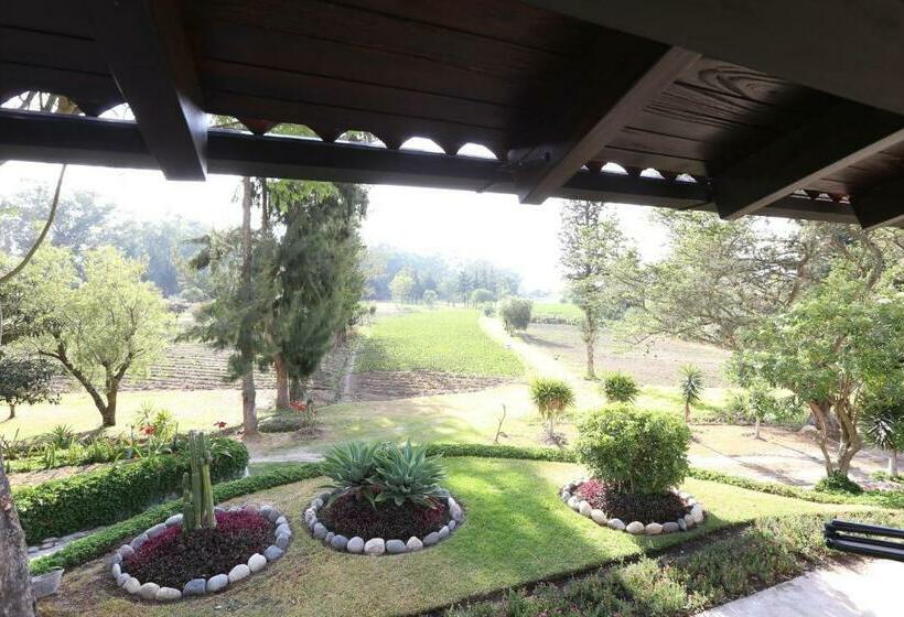 اتاق استاندارد, Hosteria Totoral