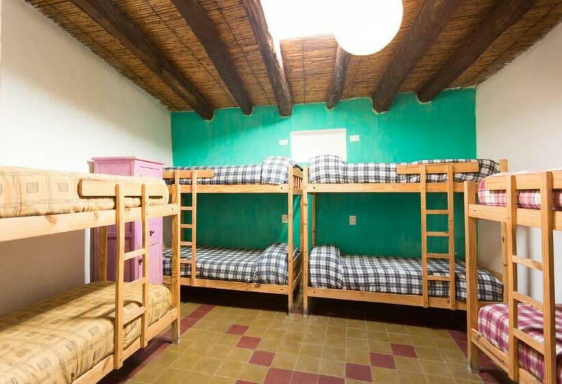 Кровать в Общей Комнате, Viracocha Art Hostel Cachi