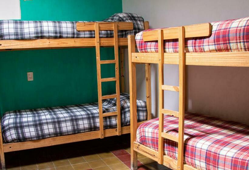 Кровать в Общей Комнате, Viracocha Art Hostel Cachi