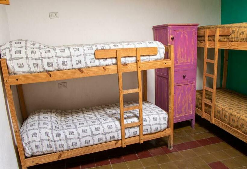 ルームシェアのワンベッド, Viracocha Art Hostel Cachi