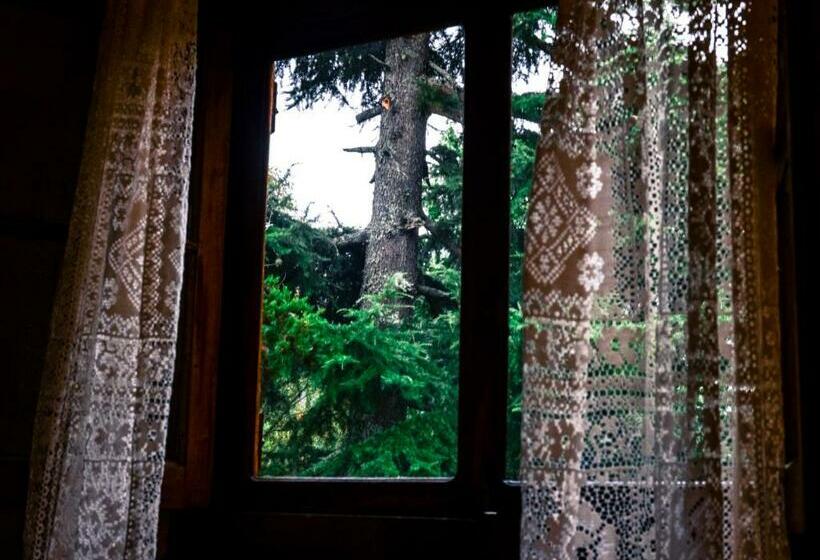 Standaard Éénpersoonskamer, Las Cascadas