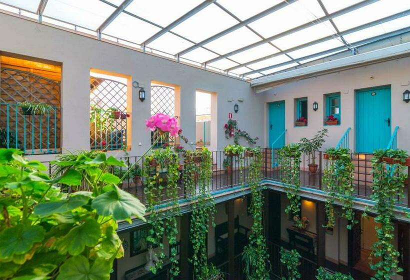 اتاق استاندارد, Patio De Las Cruces