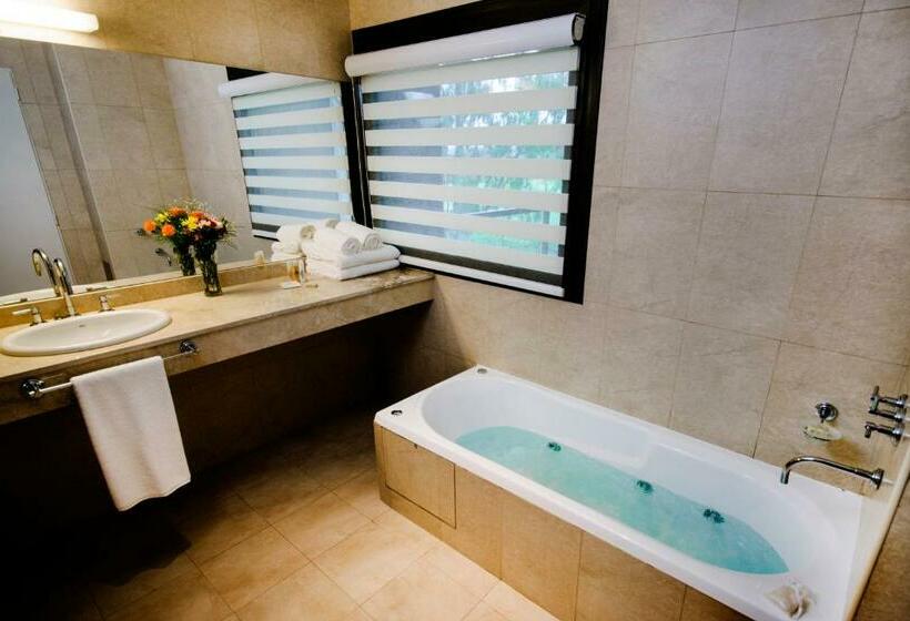 豪华房间, Provincial