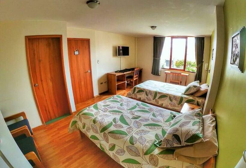 Standard Szoba, Rincon Aleman