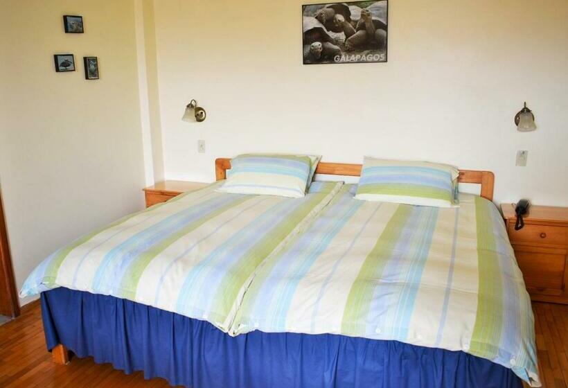 Standard Szoba, Rincon Aleman