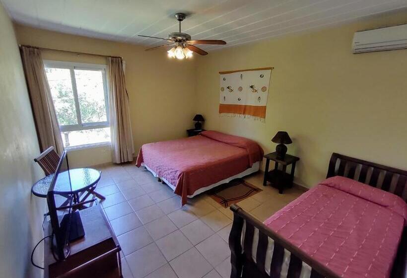 غرفة عائلية, Viña Del Mar