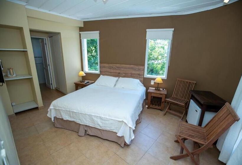 جناح, Viña Del Mar