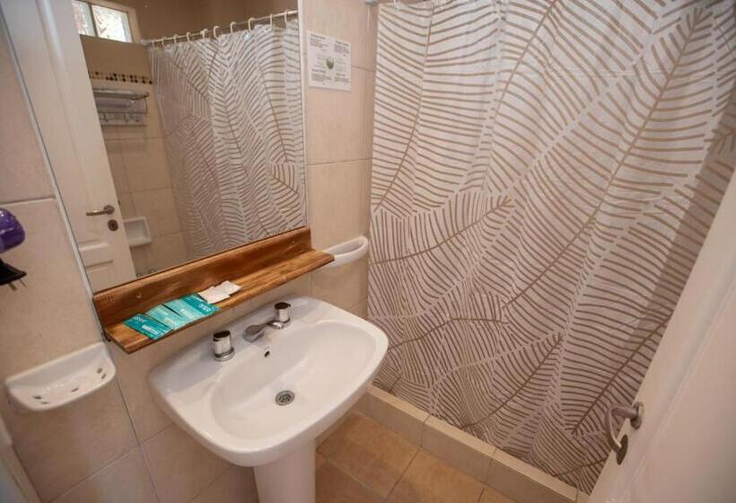 غرفة سوبيريور, Viña Del Mar