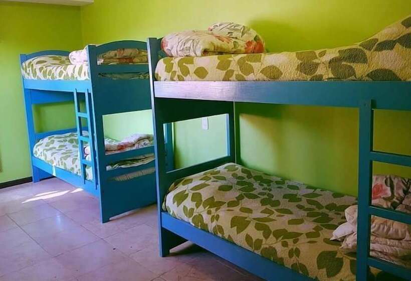 Кровать в Общей Комнате, Hostel Iguazu Falls