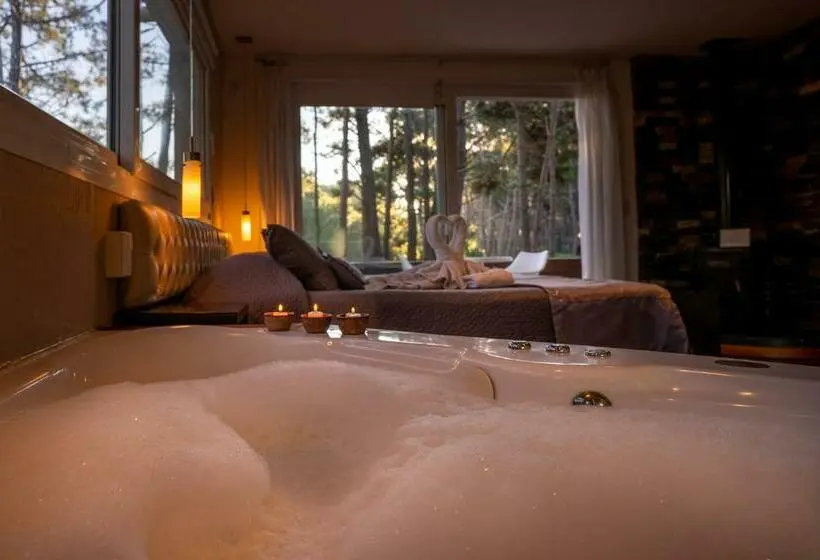 اتاق پرمیوم, Mizu Hotel Boutique