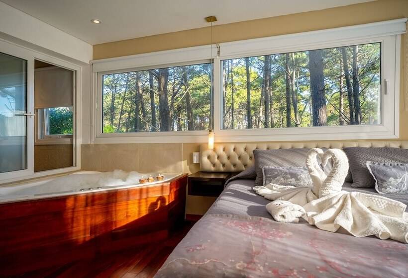 高级客房, Mizu Hotel Boutique