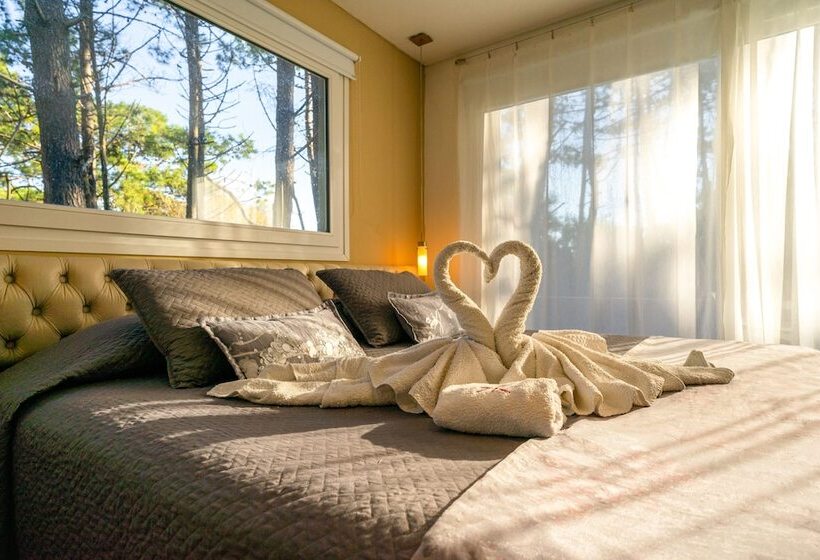 高级客房, Mizu Hotel Boutique