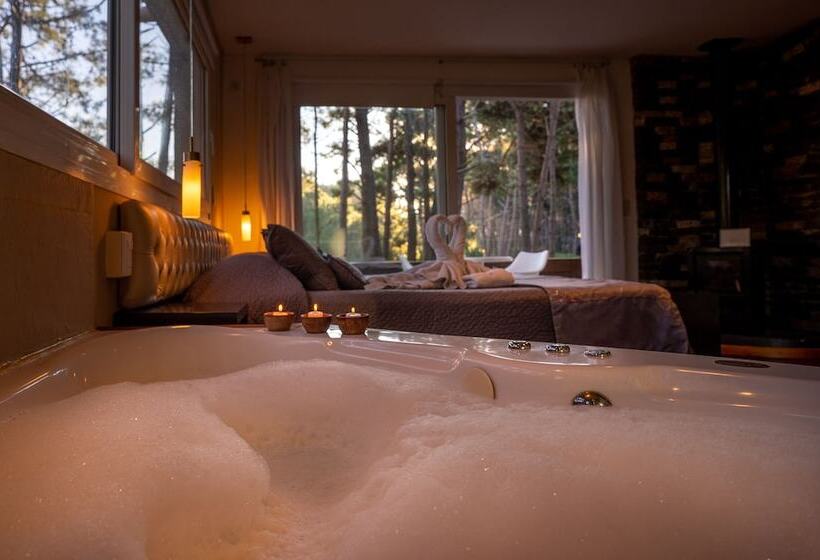 Номер Премиум, Mizu Hotel Boutique