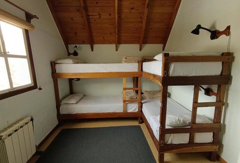 מיטה בחדר משותף, Patagonia Hostel