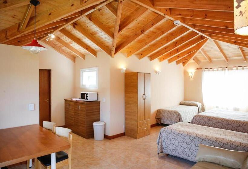 استودیو استاندارد با چشم‌انداز, Patagonia Hostel