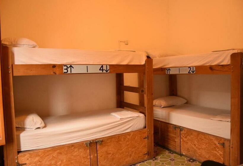 تختخواب در اتاق مشترک, 531 Hostel