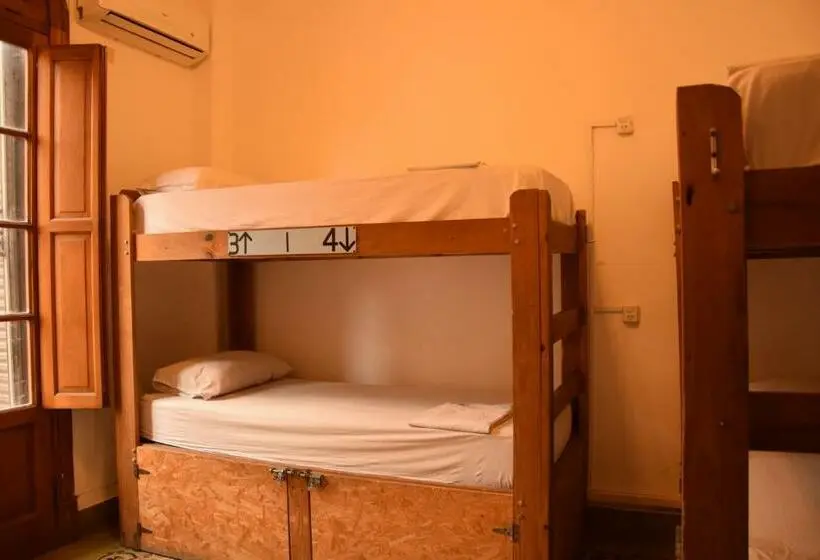 تختخواب در اتاق مشترک, 531 Hostel