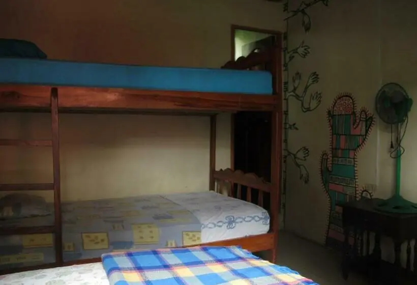 Standard-huone, Hostal Mamacucha