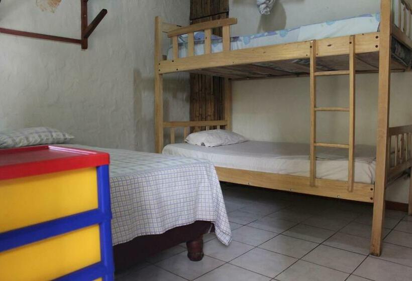 스탠다드 룸, Hostal Mamacucha