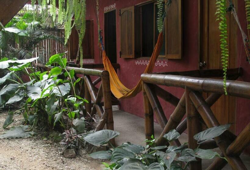 スタンダードルーム, Hostal Mamacucha