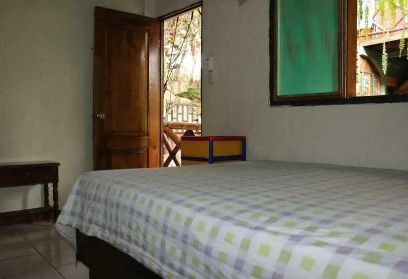Standard Yhden Hengen Huone, Hostal Mamacucha
