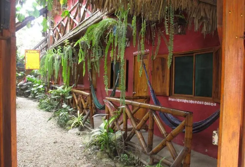 Standard-huone Parveke, Hostal Mamacucha