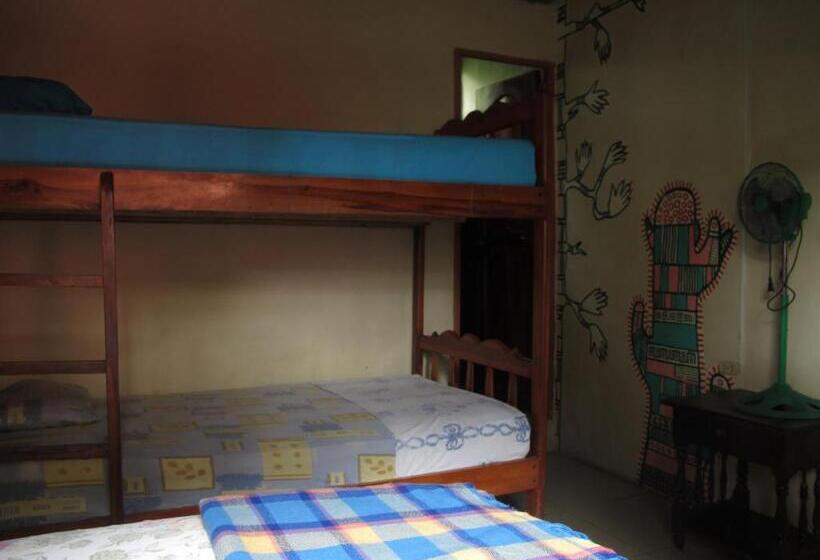 バルコニー付きスタンダードルーム, Hostal Mamacucha