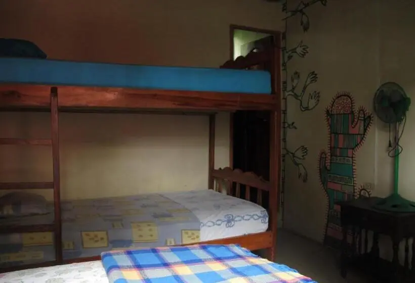 Standard-huone Parveke, Hostal Mamacucha