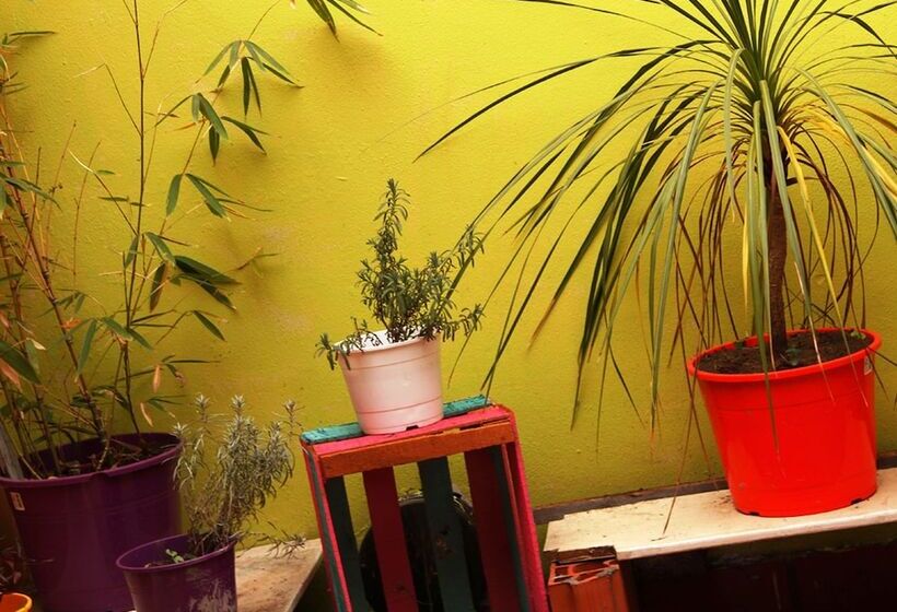 מיטה בחדר משותף, Hostel Cordobes