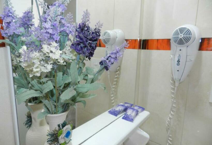 スタンダードルーム, Colon