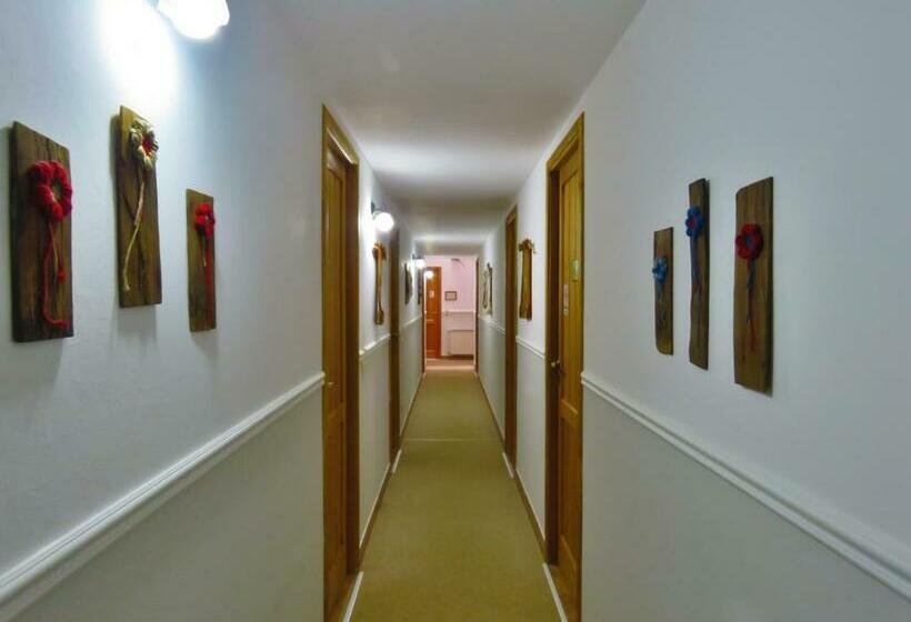 高级大房间, Los 3 Mosqueteros