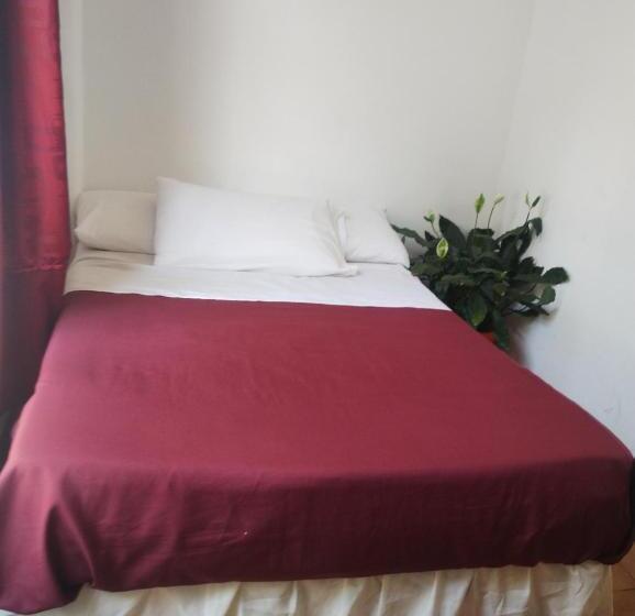 اتاق استاندارد سه نفره, Minerva