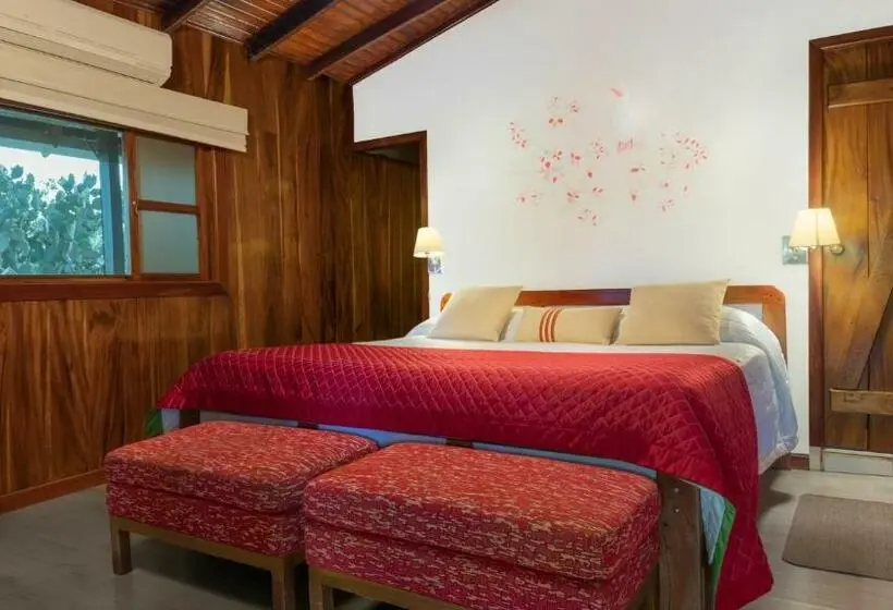 اتاق لوکس, The Wooden House