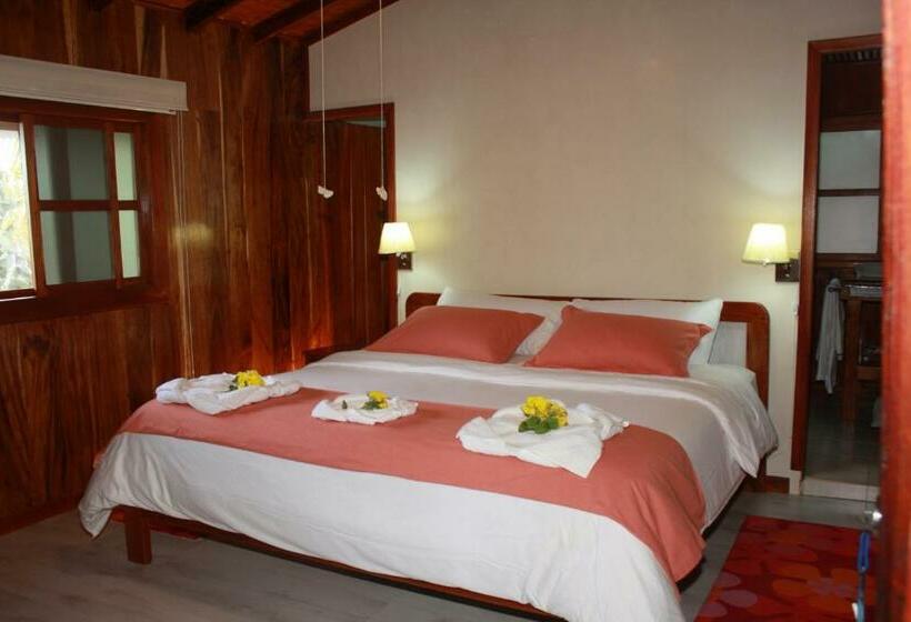 스탠다드 룸 킹사이즈 침대, The Wooden House